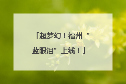 超梦幻！福州“蓝眼泪”上线！