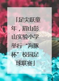 足尖跃童年，眉山彭山实验小学举行“海豚杯”校园足球联赛