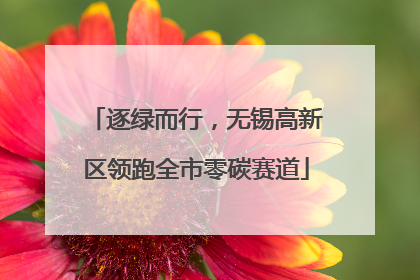 逐绿而行，无锡高新区领跑全市零碳赛道