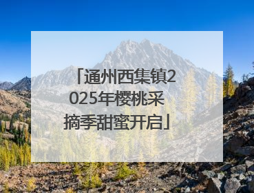 通州西集镇2025年樱桃采摘季甜蜜开启