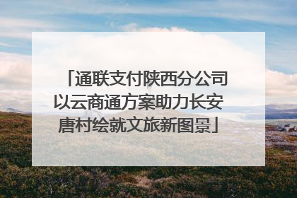 通联支付陕西分公司以云商通方案助力长安唐村绘就文旅新图景