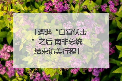 遭遇“白宫伏击”之后 南非总统结束访美行程