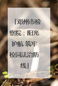 邓州市检察院：阳光护航 筑牢校园法治防线