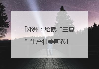 邓州：绘就“三夏”生产壮美画卷