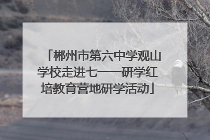 郴州市第六中学观山学校走进七一一研学红培教育营地研学活动