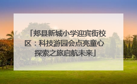 郏县新城小学迎宾街校区：科技游园会点亮童心 探索之旅启航未来