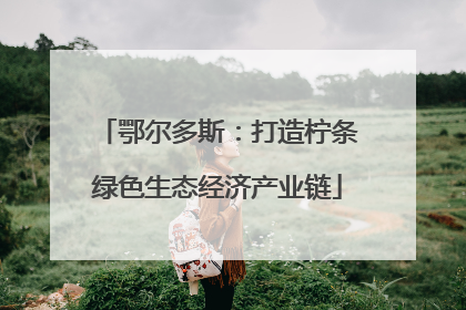 鄂尔多斯：打造柠条绿色生态经济产业链