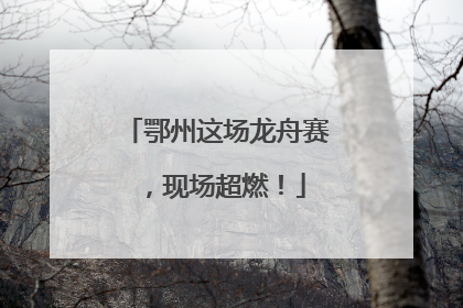鄂州这场龙舟赛，现场超燃！