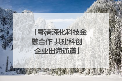 鄂港深化科技金融合作 共建科创企业出海通道