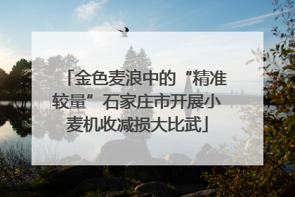 金色麦浪中的“精准较量”石家庄市开展小麦机收减损大比武