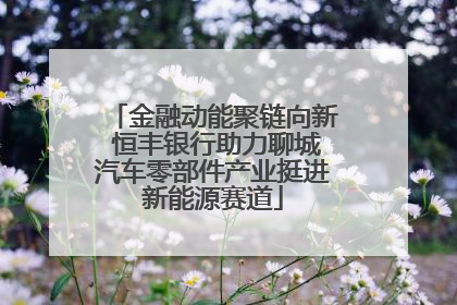 金融动能聚链向新 恒丰银行助力聊城汽车零部件产业挺进新能源赛道
