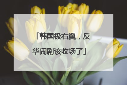 韩国极右翼，反华闹剧该收场了