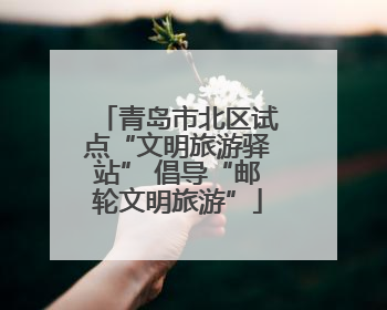 青岛市北区试点“文明旅游驿站” 倡导“邮轮文明旅游”