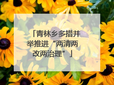 青林乡多措并举推进“两清两改两治理”