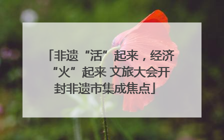 非遗“活”起来，经济“火”起来 文旅大会开封非遗市集成焦点