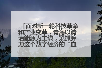 面对新一轮科技革命和产业变革，青海以清洁能源为主线，紧抓算力这个数字经济的“血液”、科技主权的“筹码”、产业升级的“杠杆”、绿色转型的“支点”，勇于撬动国家“双碳”战略、“东数西算”工程重大发展新机遇