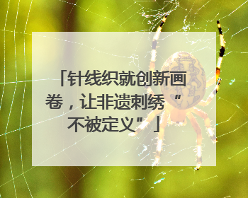 针线织就创新画卷，让非遗刺绣“不被定义”