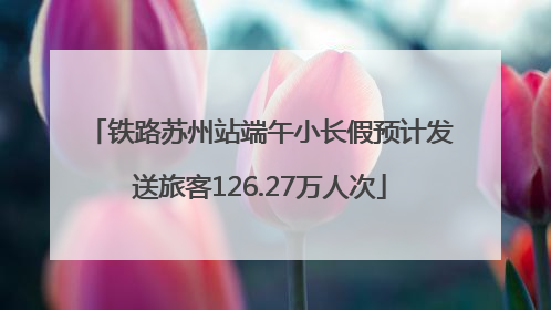铁路苏州站端午小长假预计发送旅客126.27万人次