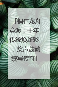 铜仁龙舟竞渡：千年传统焕新彩，桨声鼓韵续写传奇