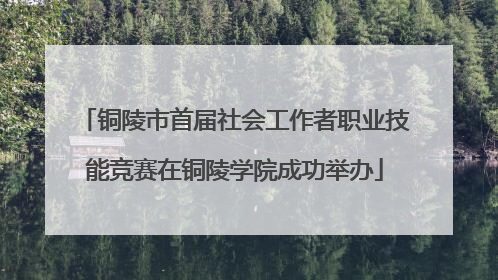 铜陵市首届社会工作者职业技能竞赛在铜陵学院成功举办