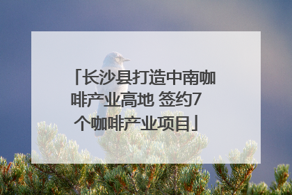 长沙县打造中南咖啡产业高地 签约7个咖啡产业项目