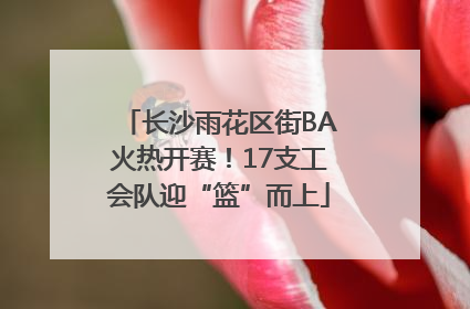 长沙雨花区街BA火热开赛！17支工会队迎“篮”而上