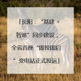 长阳：“基建 + 智巡”同步建设，全省首座“即投即启”变电站正式投运