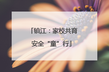镇江：家校共育 安全“童”行