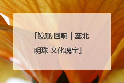 镜观·回响｜塞北明珠 文化瑰宝