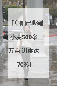 阜阳已收割小麦500多万亩 进度达70%
