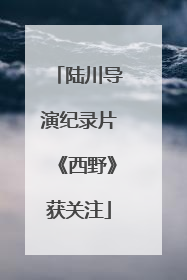 陆川导演纪录片《西野》获关注