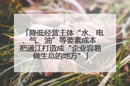降低经营主体“水、电、气、油”等要素成本 把通江打造成“企业容易做生意的地方”