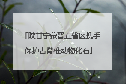 陕甘宁蒙晋五省区携手保护古脊椎动物化石