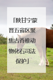 陕甘宁蒙晋五省区聚焦古脊椎动物化石司法保护