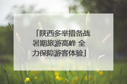 陕西多举措备战暑期旅游高峰 全力保障游客体验