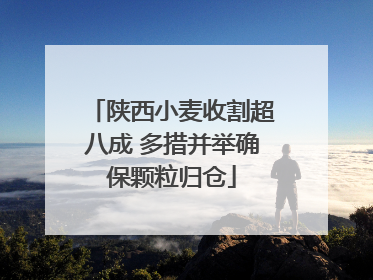 陕西小麦收割超八成 多措并举确保颗粒归仓