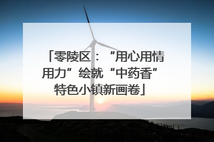 零陵区：“用心用情用力”绘就“中药香”特色小镇新画卷