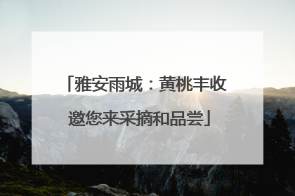 雅安雨城：黄桃丰收 邀您来采摘和品尝
