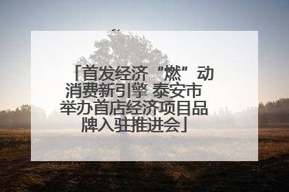 首发经济“燃”动消费新引擎 泰安市举办首店经济项目品牌入驻推进会