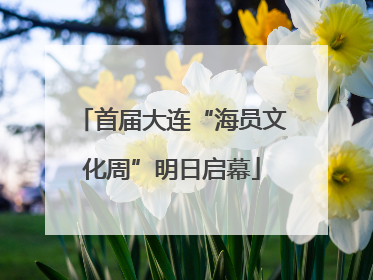 首届大连“海员文化周”明日启幕