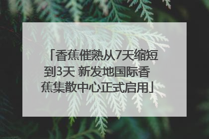 香蕉催熟从7天缩短到3天 新发地国际香蕉集散中心正式启用
