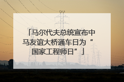 马尔代夫总统宣布中马友谊大桥通车日为“国家工程师日”