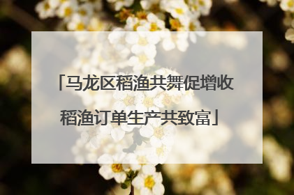 马龙区稻渔共舞促增收 稻渔订单生产共致富