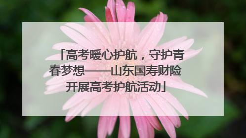 高考暖心护航，守护青春梦想——山东国寿财险开展高考护航活动