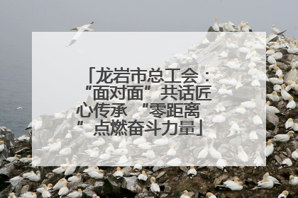 龙岩市总工会：“面对面”共话匠心传承 “零距离”点燃奋斗力量