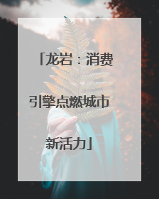 龙岩：消费引擎点燃城市新活力