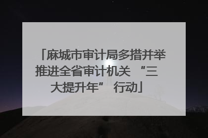 麻城市审计局多措并举推进全省审计机关 “三大提升年” 行动