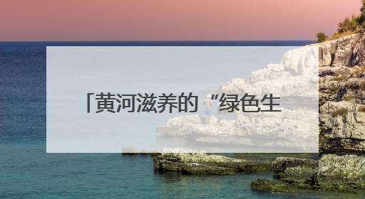 黄河滋养的“绿色生意” 唱响长清区沿黄村的乡村振兴曲