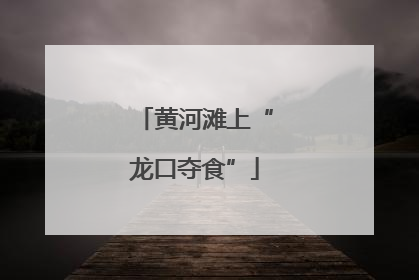 黄河滩上“龙口夺食”