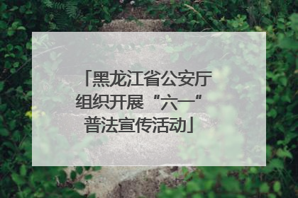 黑龙江省公安厅组织开展“六一”普法宣传活动